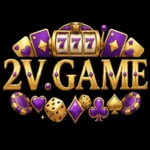 2vgame