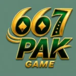 667pak game