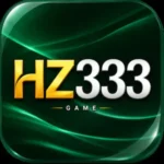 hz333